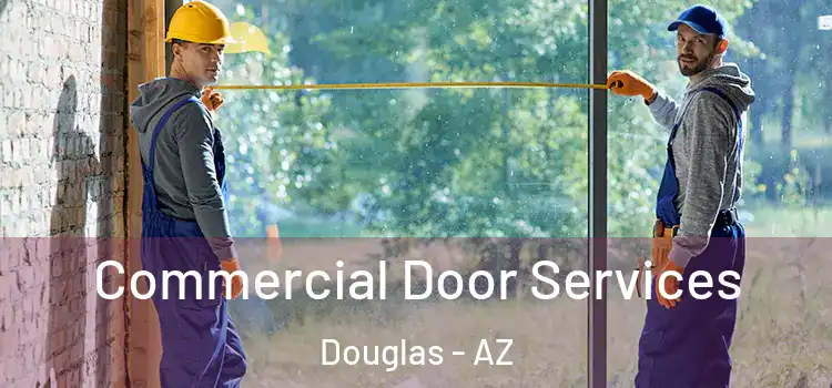 Commercial Door Services Douglas - AZ