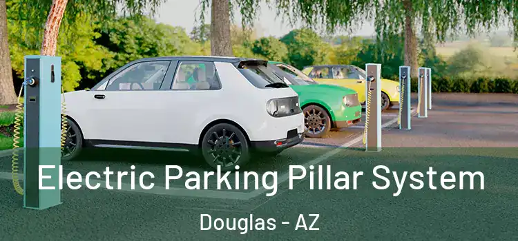 Electric Parking Pillar System Douglas - AZ