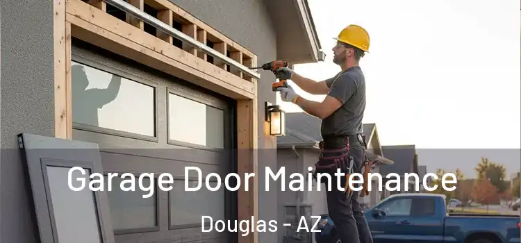 Garage Door Maintenance Douglas - AZ
