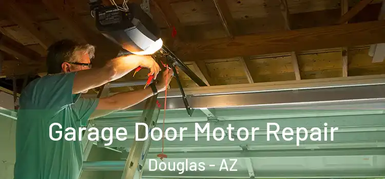  Garage Door Motor Repair Douglas - AZ