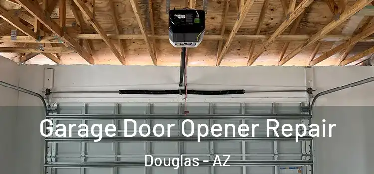  Garage Door Opener Repair Douglas - AZ