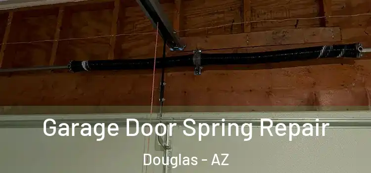  Garage Door Spring Repair Douglas - AZ