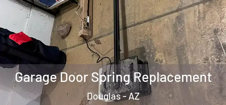  Garage Door Spring Replacement Douglas - AZ