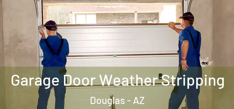  Garage Door Weather Stripping Douglas - AZ