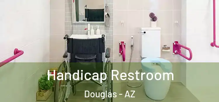  Handicap Restroom Douglas - AZ