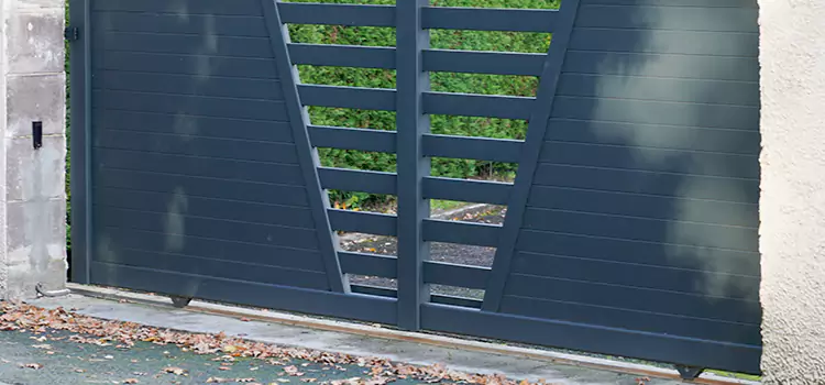 Automated Gate Company Near Me Douglas