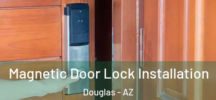  Magnetic Door Lock Installation Douglas - AZ