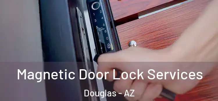 Magnetic Door Lock Services Douglas - AZ